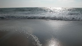 Phare de la Coubre - Sur la plage