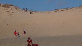 Phare de la Coubre - La dune