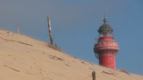 Phare de la Coubre - La dune