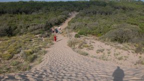 Phare de la Coubre - Du haut de la dune