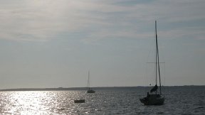 Ronce-les-Bains (La Tremblade F-17390) - Bateaux à l'ancre - en face, l'île d'Oléron